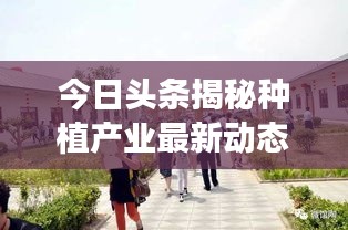 今日头条揭秘种植产业最新动态，种瓜视频热传，产业趋势大揭秘！
