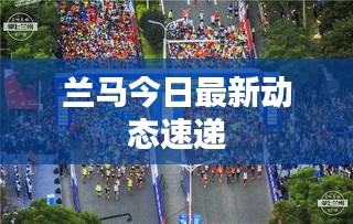兰马今日最新动态速递