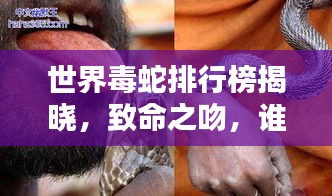 世界毒蛇排行榜揭晓，致命之吻，谁领风骚？
