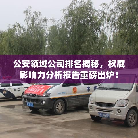 公安领域公司排名揭秘，权威影响力分析报告重磅出炉！
