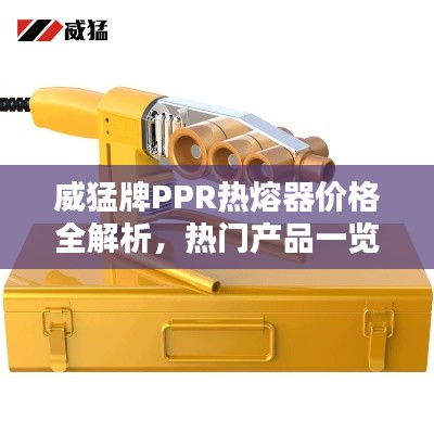 威猛牌PPR热熔器价格全解析，热门产品一览