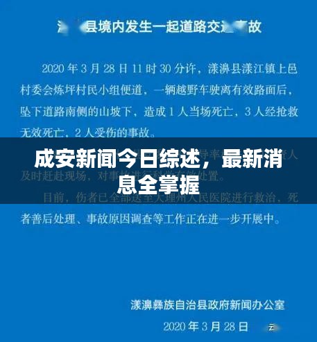 成安新闻今日综述，最新消息全掌握