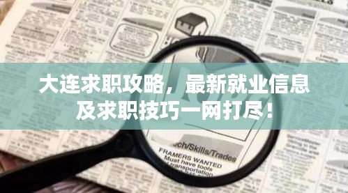 大连求职攻略，最新就业信息及求职技巧一网打尽！