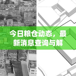 今日粮仓动态，最新消息查询与解读