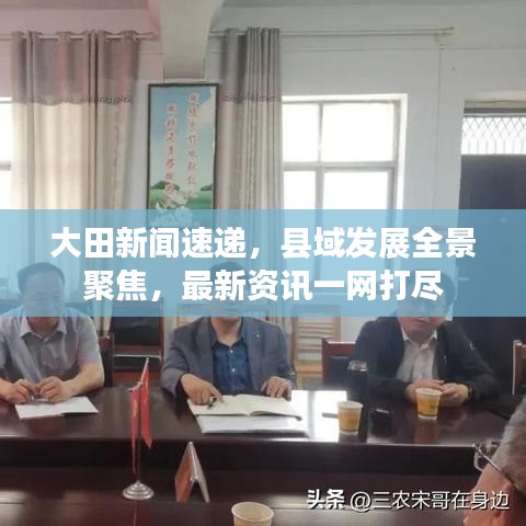 大田新闻速递，县域发展全景聚焦，最新资讯一网打尽