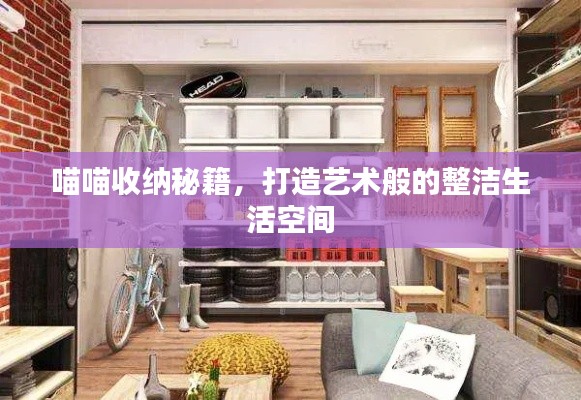 喵喵收纳秘籍，打造艺术般的整洁生活空间
