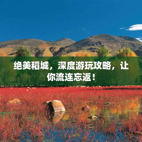 绝美稻城，深度游玩攻略，让你流连忘返！