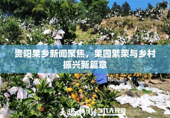贵阳果乡新闻聚焦，果园繁荣与乡村振兴新篇章