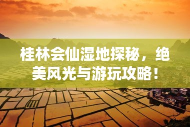 桂林会仙湿地探秘，绝美风光与游玩攻略！