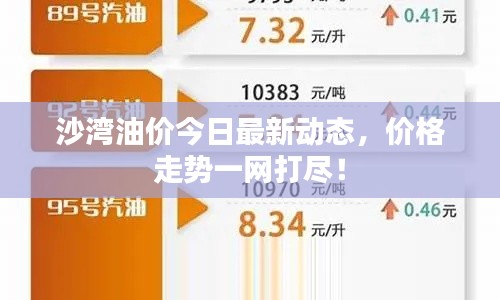 沙湾油价今日最新动态，价格走势一网打尽！