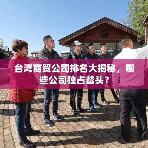 台湾商贸公司排名大揭秘，哪些公司独占鳌头？