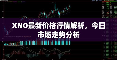 XNO最新价格行情解析，今日市场走势分析