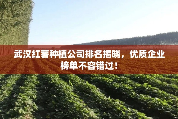武汉红薯种植公司排名揭晓，优质企业榜单不容错过！