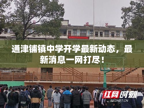 通津铺镇中学开学最新动态，最新消息一网打尽！