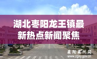 湖北枣阳龙王镇最新热点新闻聚焦