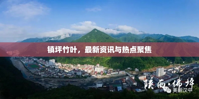 镇坪竹叶，最新资讯与热点聚焦