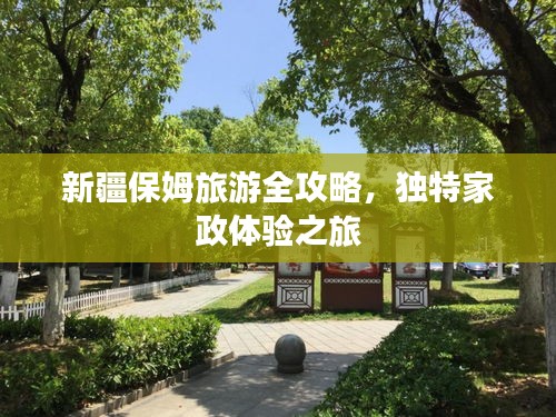 新疆保姆旅游全攻略，独特家政体验之旅