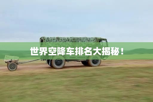 删华就素 第2页