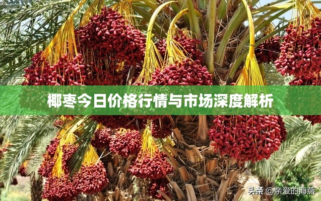 椰枣今日价格行情与市场深度解析