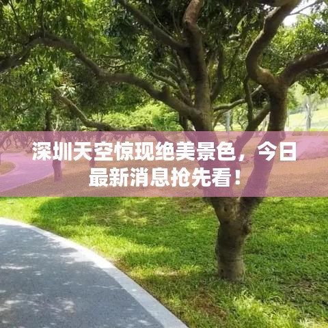 深圳天空惊现绝美景色，今日最新消息抢先看！