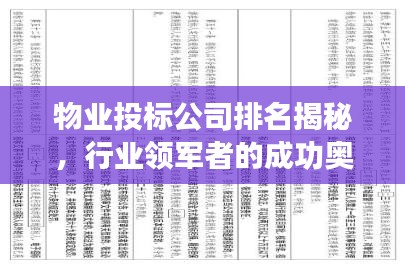 物业投标公司排名揭秘，行业领军者的成功奥秘探索