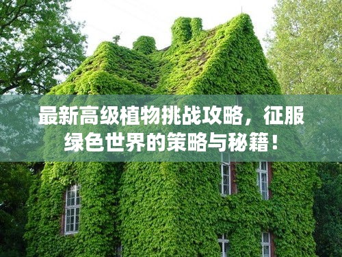 最新高级植物挑战攻略，征服绿色世界的策略与秘籍！