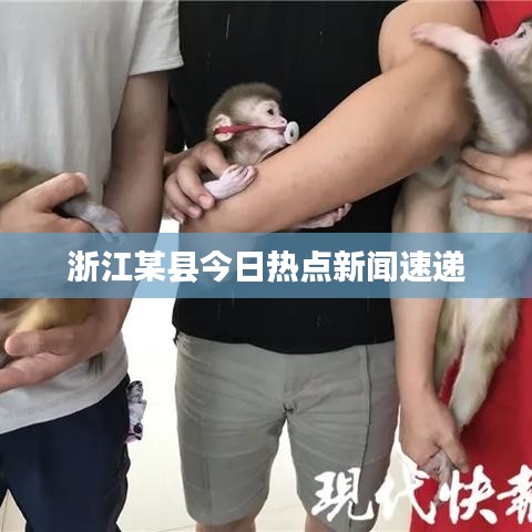 浙江某县今日热点新闻速递