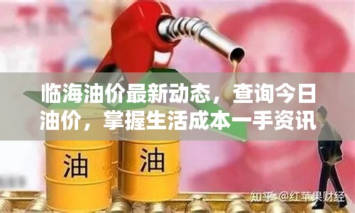 临海油价最新动态，查询今日油价，掌握生活成本一手资讯