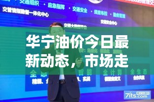 华宁油价今日最新动态，市场走势分析及影响因素探讨