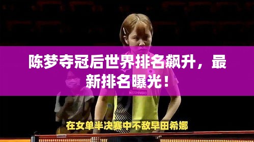 陈梦夺冠后世界排名飙升，最新排名曝光！
