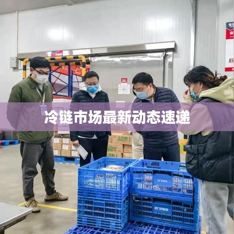 冷链市场最新动态速递