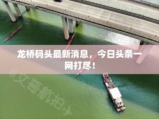 龙桥码头最新消息，今日头条一网打尽！