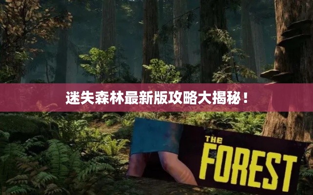 迷失森林最新版攻略大揭秘！
