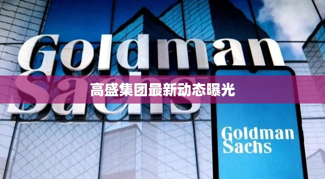 高盛集团最新动态曝光