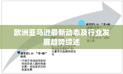 欧洲亚马逊最新动态及行业发展趋势综述