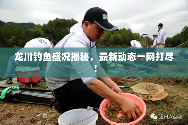 龙川钓鱼盛况揭秘，最新动态一网打尽！