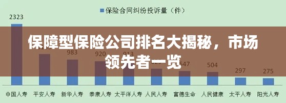 保障型保险公司排名大揭秘，市场领先者一览
