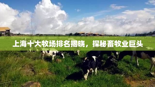 上海十大牧场排名揭晓，探秘畜牧业巨头
