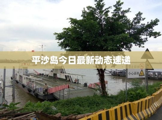 平沙岛今日最新动态速递