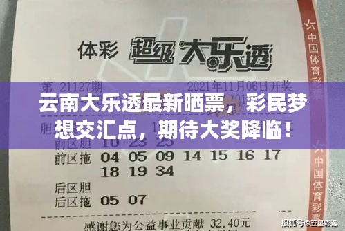 云南大乐透最新晒票，彩民梦想交汇点，期待大奖降临！