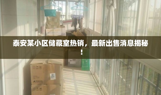 泰安某小区储藏室热销，最新出售消息揭秘！