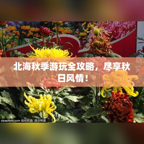 北海秋季游玩全攻略，尽享秋日风情！