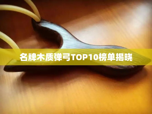 名牌木质弹弓TOP10榜单揭晓