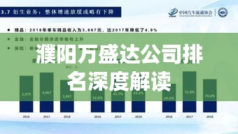 濮阳万盛达公司排名深度解读