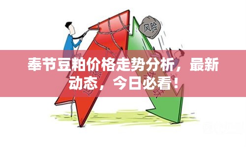 奉节豆粕价格走势分析，最新动态，今日必看！