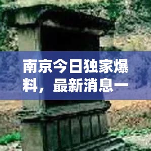 南京今日独家爆料，最新消息一网打尽！