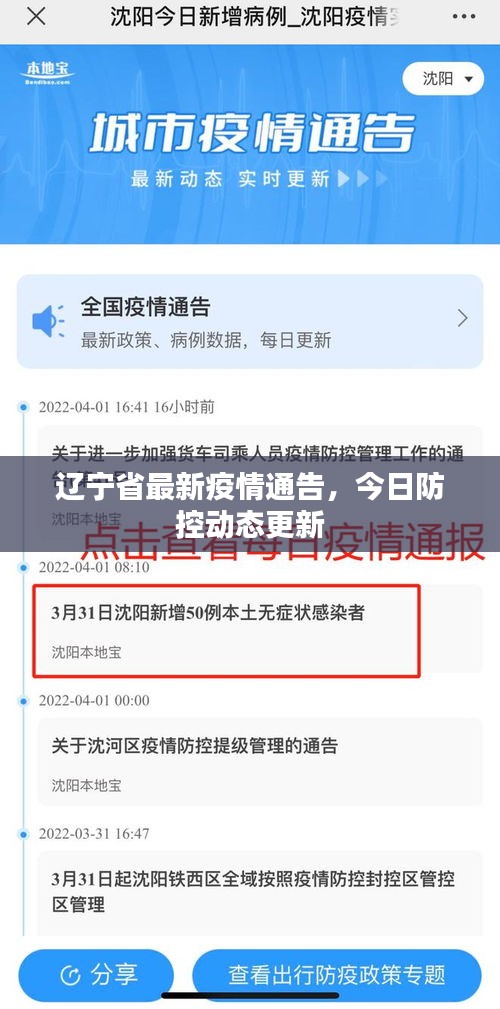 辽宁省最新疫情通告，今日防控动态更新