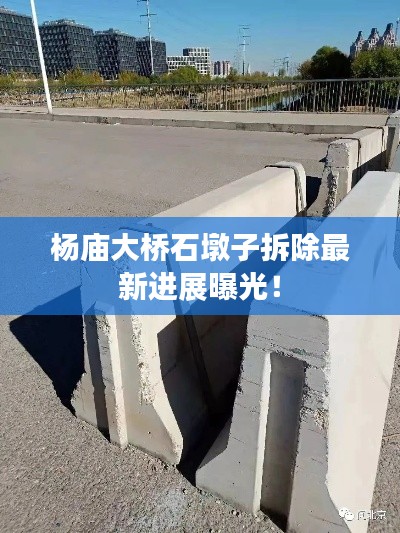杨庙大桥石墩子拆除最新进展曝光！