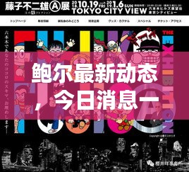 鲍尔最新动态，今日消息一网打尽！