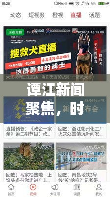 谭江新闻聚焦，时事热点速递，最新资讯一网打尽